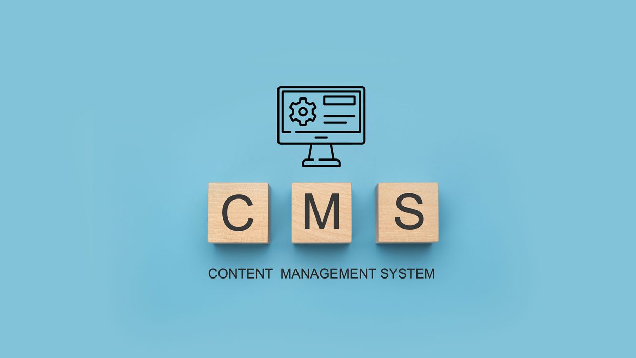CMS Development